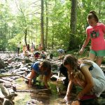 Nature Camp Foundation – Friends and alumni of Nature Camp, Vesuvius VA ...